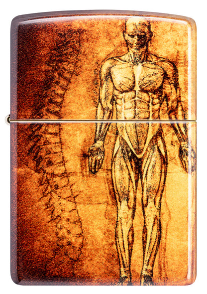Zippo zapalovač 66054 Anatomy Design
