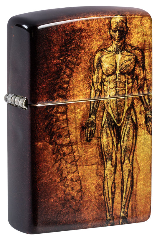 Zippo zapalovač 66054 Anatomy Design