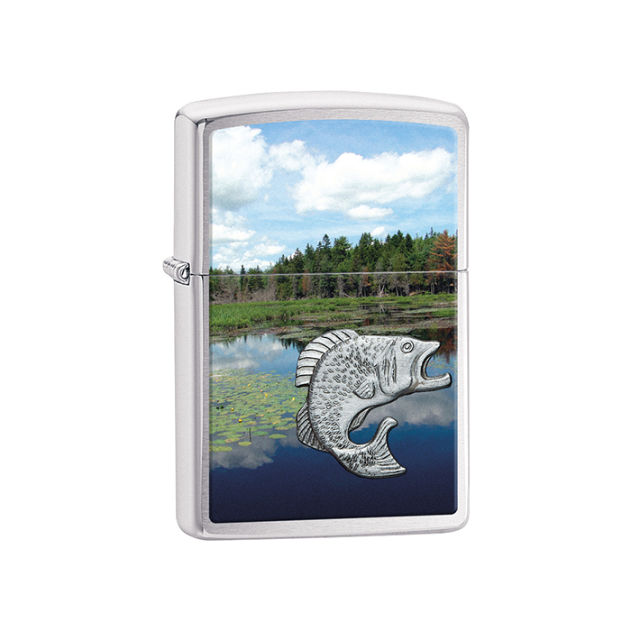 21011 Fish in Lake
