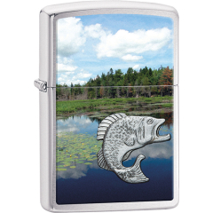 21011 Fish in Lake