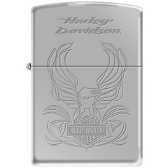 22951 Harley-Davidson®