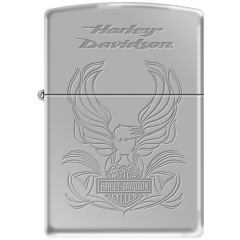 22951 Harley-Davidson®