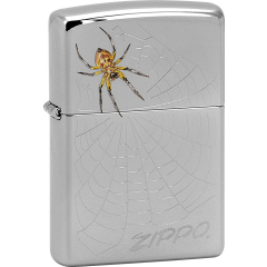 22999 Spider and Web