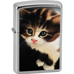 25335 Kitty