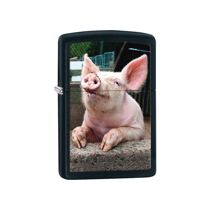 26009 Pig Dreaming