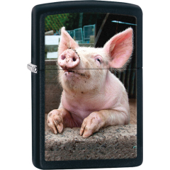 26009 Pig Dreaming