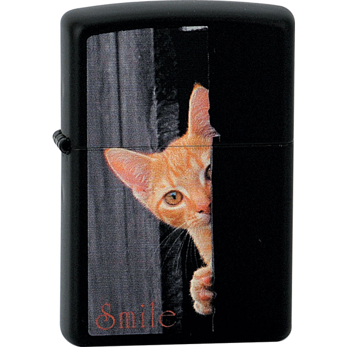 26380 Smile Kitten