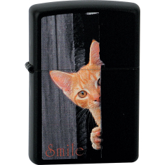 26380 Smile Kitten