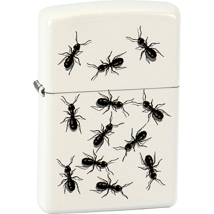 26435 Ants