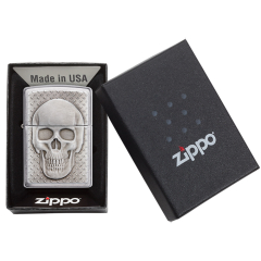 21972 Skull with Brain Surprise