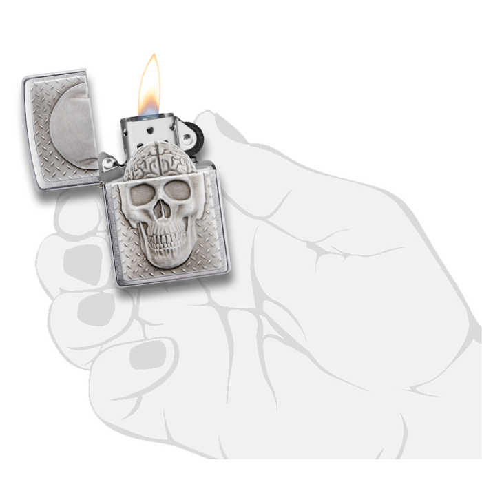 21972 Skull with Brain Surprise