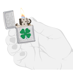 22666 Clover