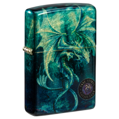 66078 Anne Stokes Collection