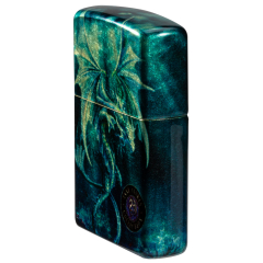 66078 Anne Stokes Collection