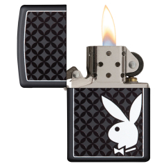 66079 Playboy