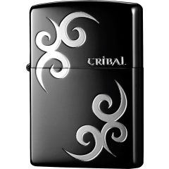 26538 Tribal