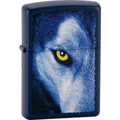 26595 Wolf