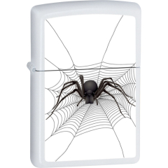 26652 Spider in Web