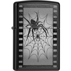 26682 Spider Web Film