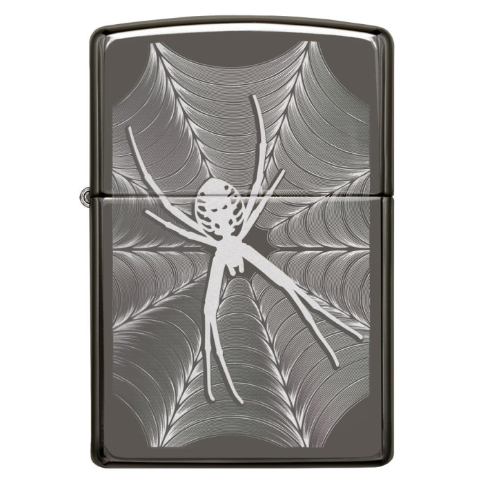 25499 Spider Web Design