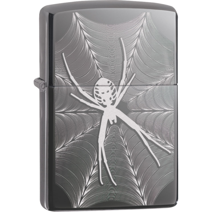 25499 Spider Web Design