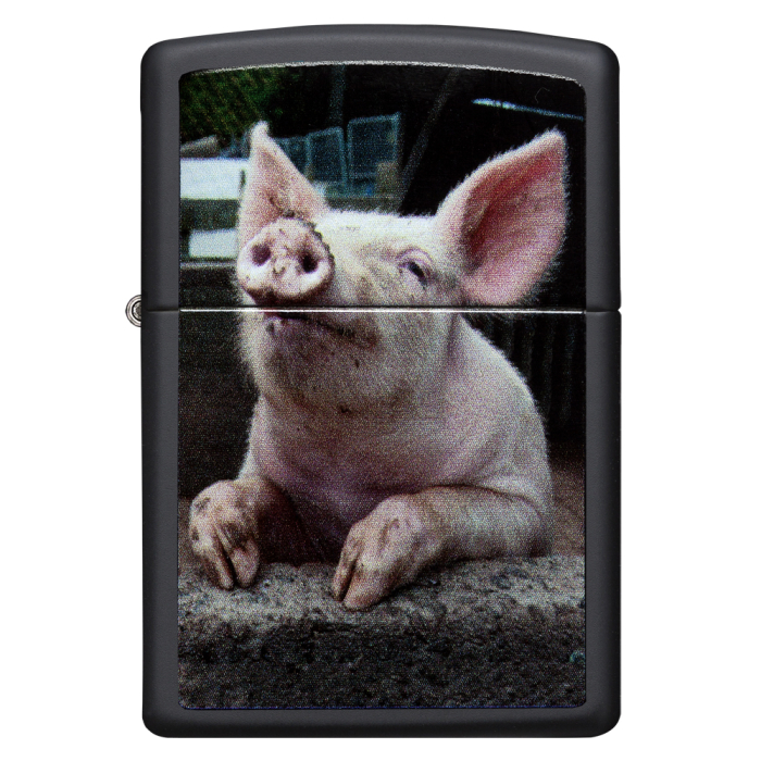 26009 Pig Dreaming