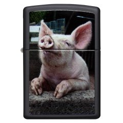 26009 Pig Dreaming