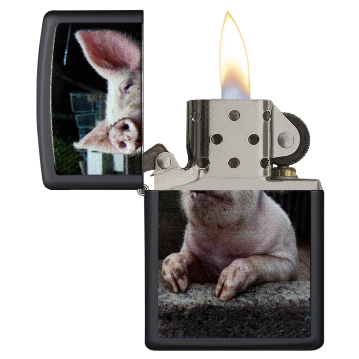 26009 Pig Dreaming