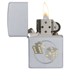 20041 Dice