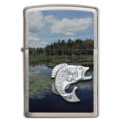 21011 Fish in Lake