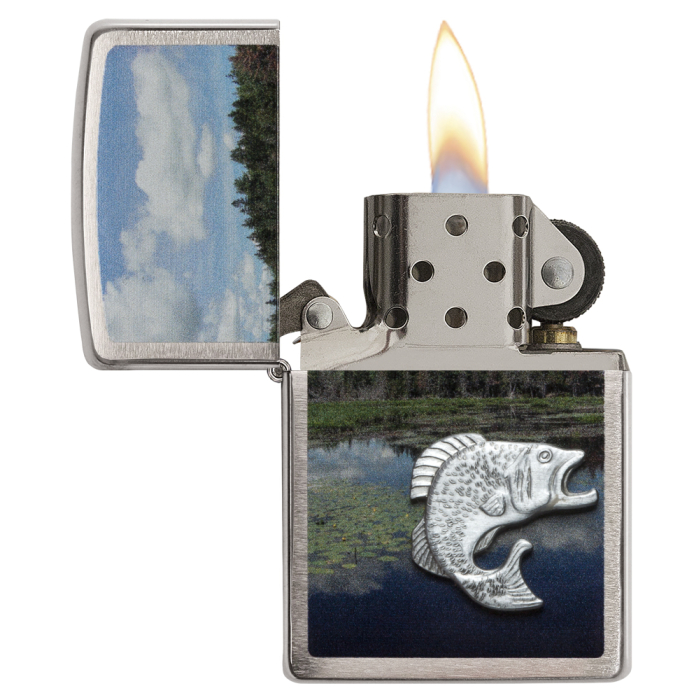 21011 Fish in Lake