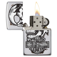 22010 Harley-Davidson®