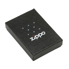 22101 Zippo and Flame