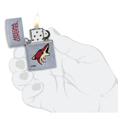 25590 Arizona Coyotes®