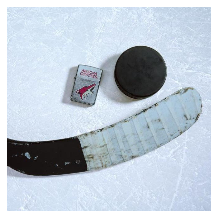 25590 Arizona Coyotes®