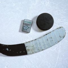 25598 Dallas Stars™