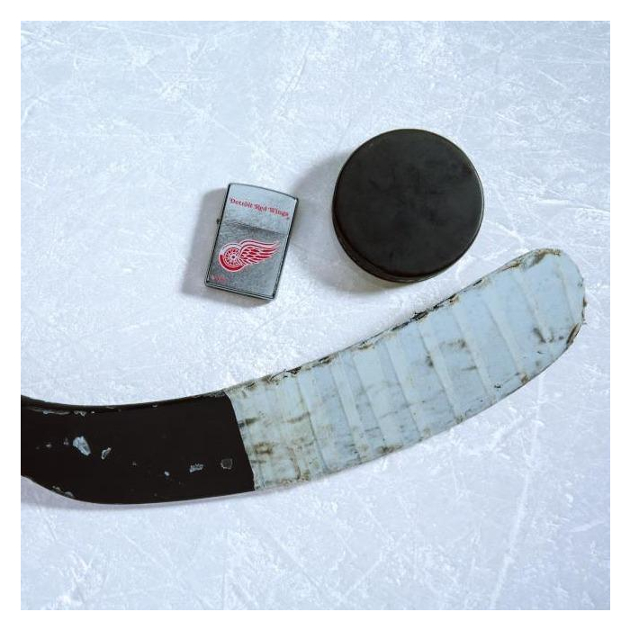 25599 Detroit Red Wings®