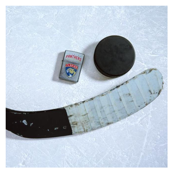 25601 Florida Panthers®