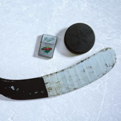 25603 Minnesota Wild®