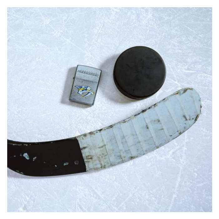 25605 Nashville Predators®