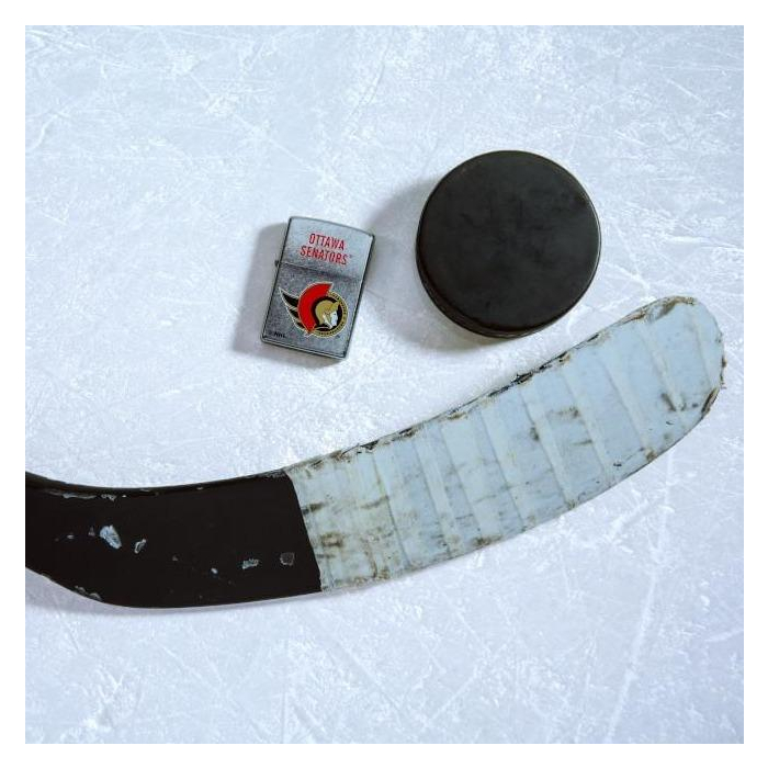 25609 Ottawa Senators®