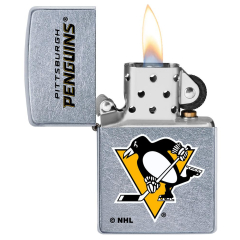 25611 Pittsburgh Penguins®