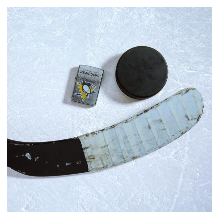 25611 Pittsburgh Penguins®