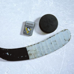 25611 Pittsburgh Penguins®
