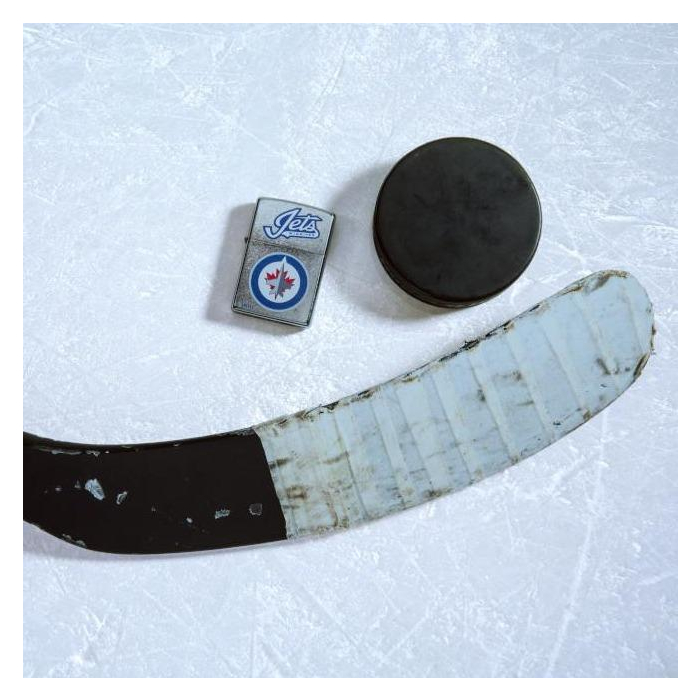 25619 Winnipeg Jets™