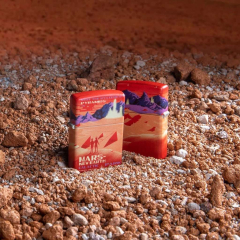 26992 Mars Design