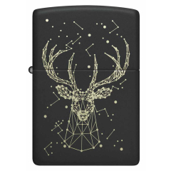 26119 Deer Constellation