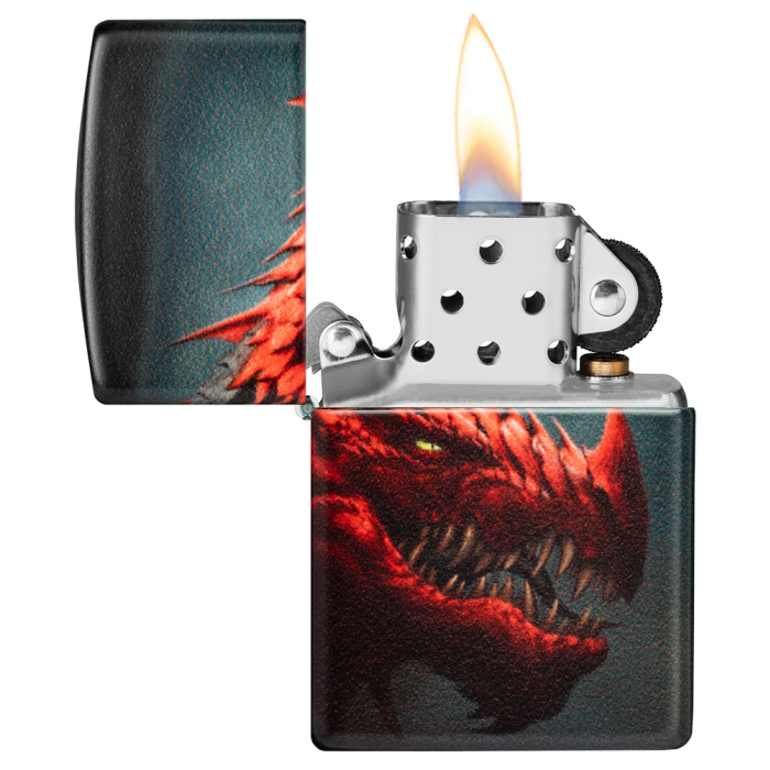 26137 Dragon Design