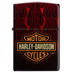 26197 Harley-Davidson®